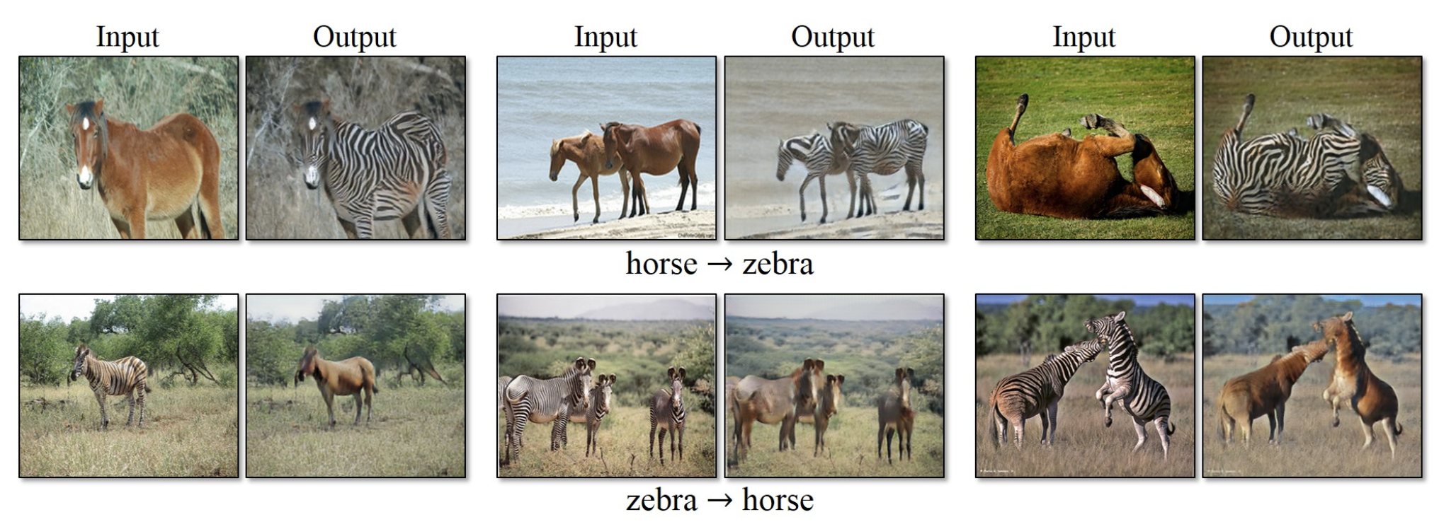 horse-to-zebra